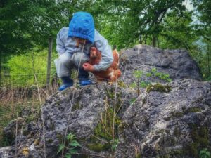 La gang del bosco