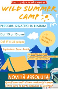1° Wild Summer Camp