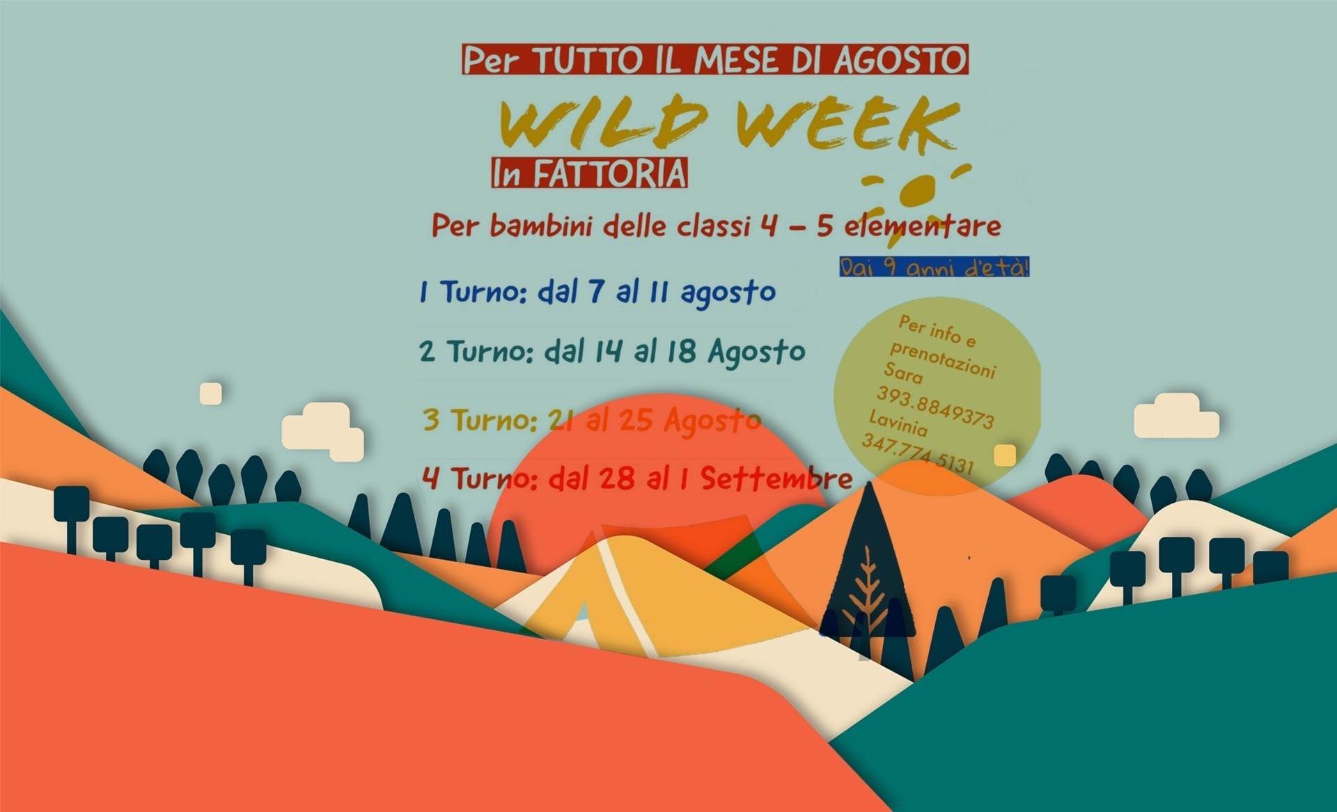 Wild Week da Zaro