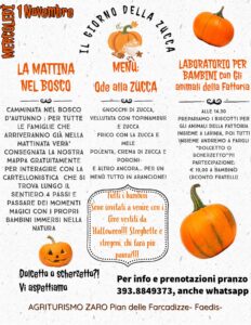 il giorno della zucca