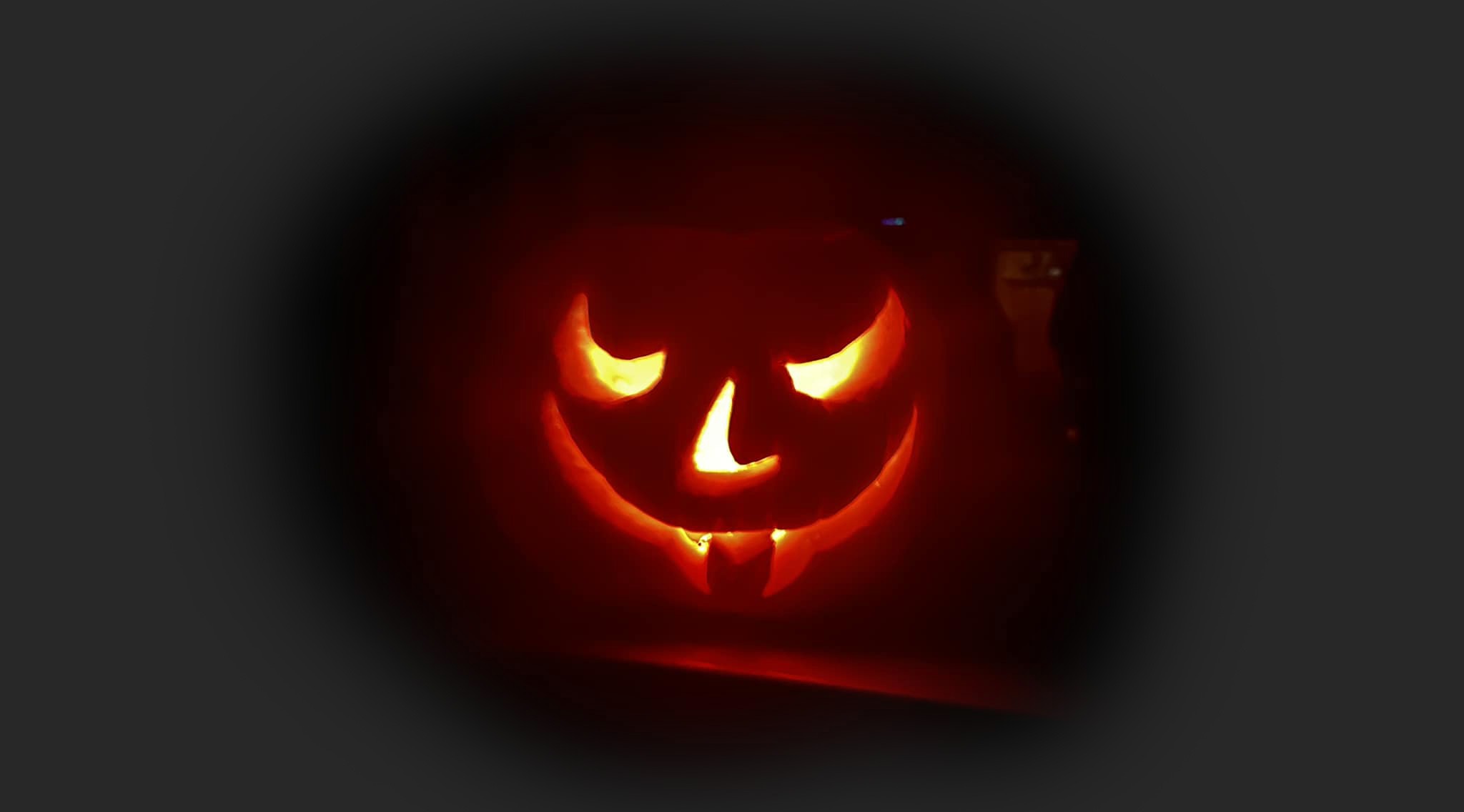 zucca