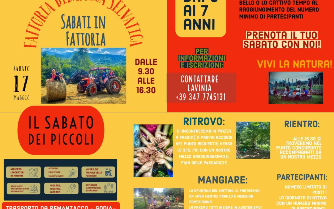 Ritornano i Sabati in Fattoria!