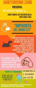 Impronta del Nord Est