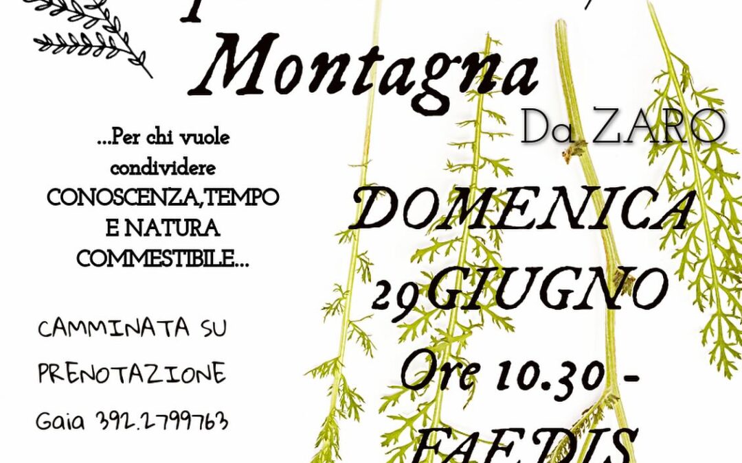A Spasso per Erbe di Montagna – 29 Giugno