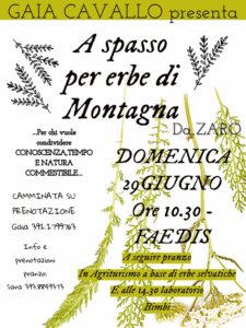 CAMMINATA TRA LE ERBE DI MONTAGNA & PRANZO SELVATICO