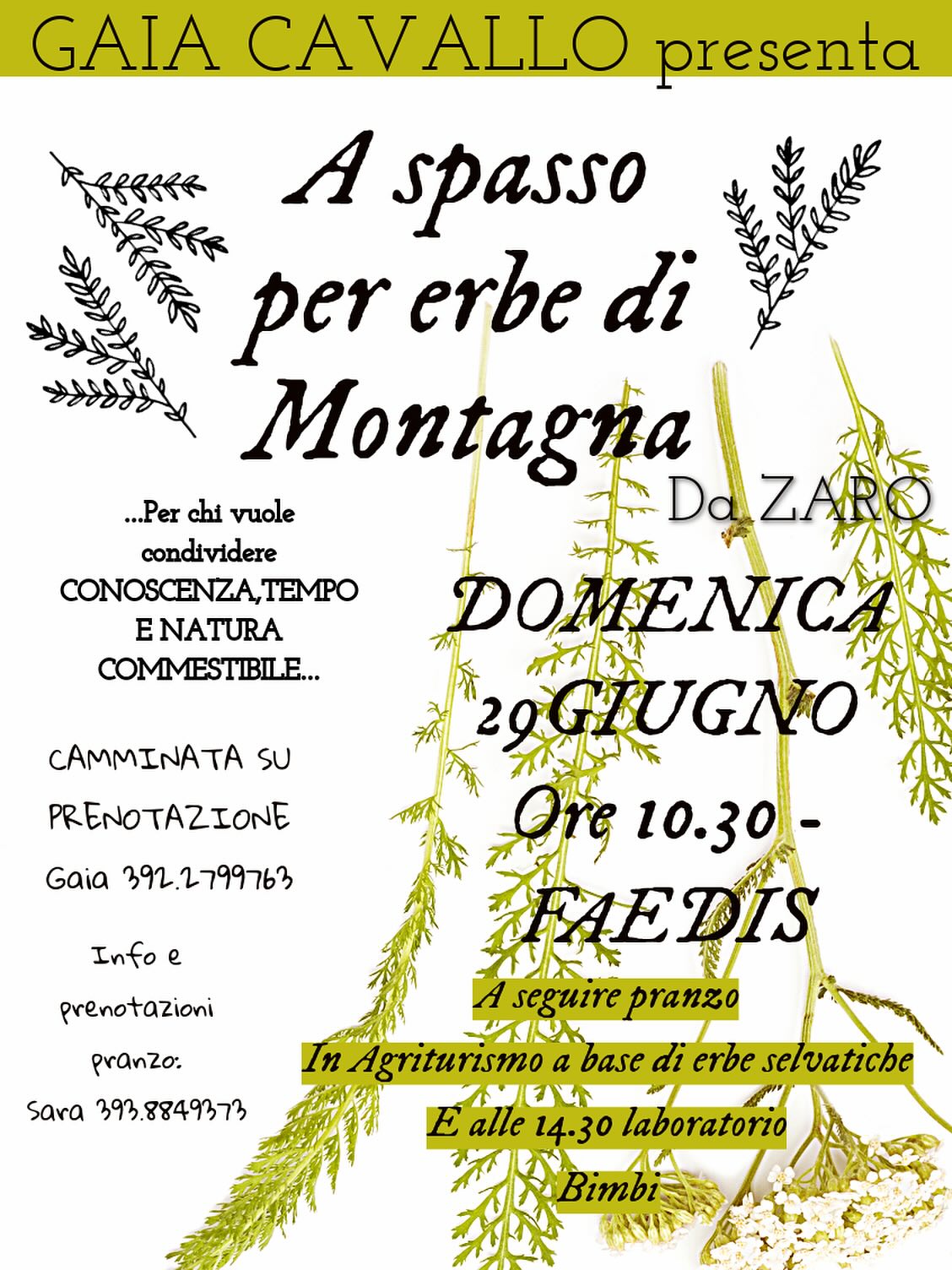 CAMMINATA TRA LE ERBE DI MONTAGNA & PRANZO SELVATICO