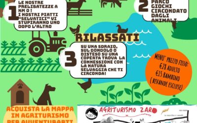 FERRAGOSTO IN FATTORIA