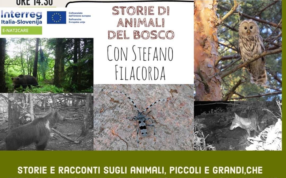Bambini al Centro 2025 – Storie di Animali del Bosco – 7 Settembre