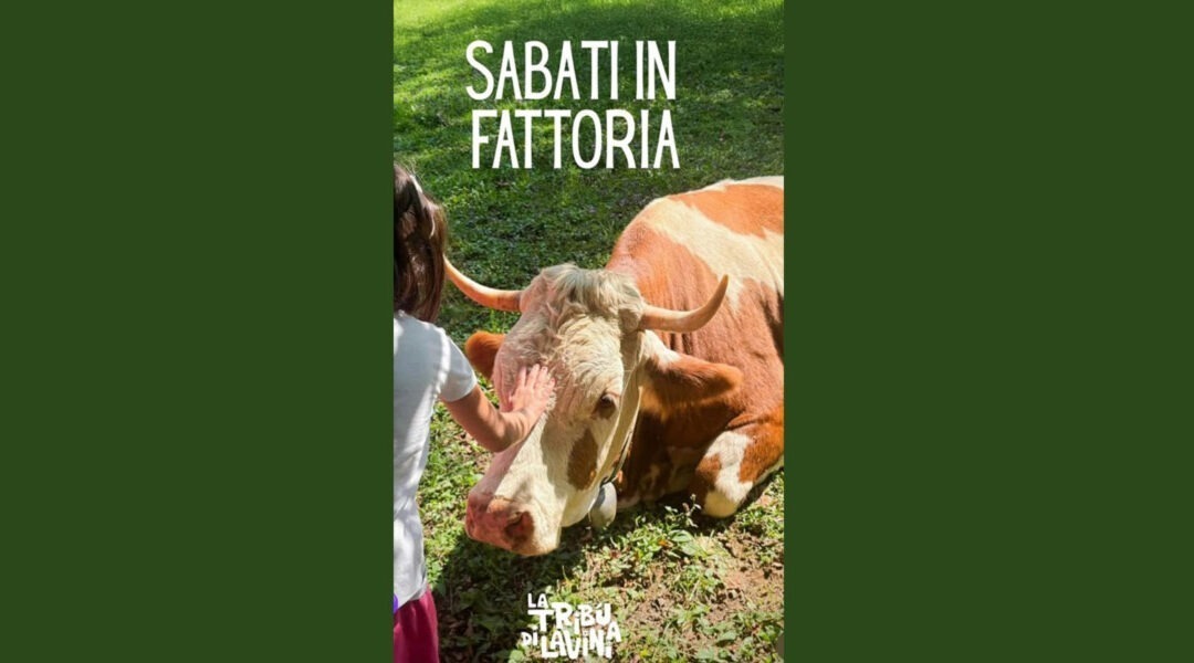 SABATI IN FATTORIA – 10 – 2025