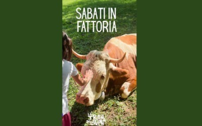 SABATI IN FATTORIA – 10 – 2025
