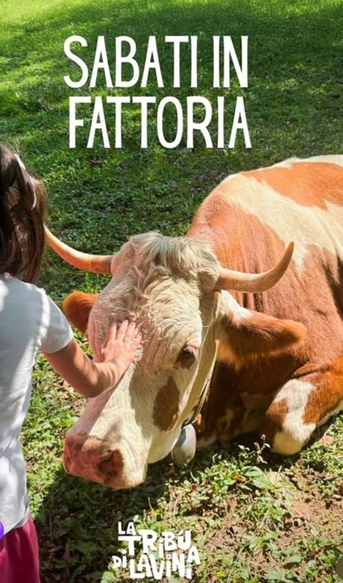 Sabati in Fattoria