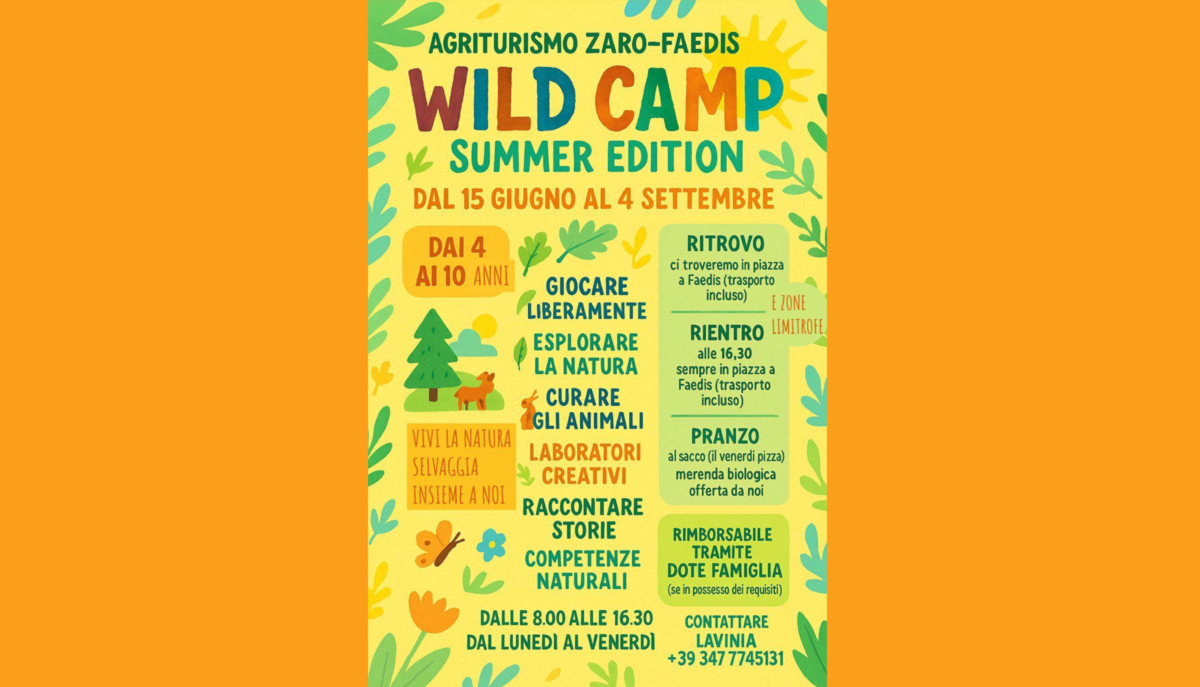 Wild Camp - Summer_Edition - 2026